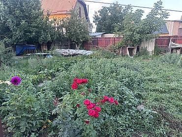 Кыймылсыз мүлк: Плодовый сад и дом для большой семьи с многообразием культур — 8