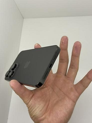 мониторы aoc бишкек: IPhone 14 Pro Max, Колдонулган, 256 ГБ, Графит, 81 % — 7