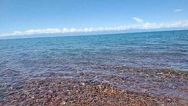 квв: 1 комната, 38 м², 105 серия, 5 этаж, Косметический ремонт — 7