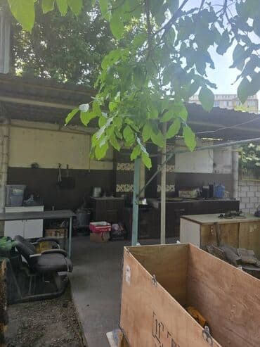 дома под бизнес: Сдается на долгий срок частный дом с потенциалом для различных видов — 8