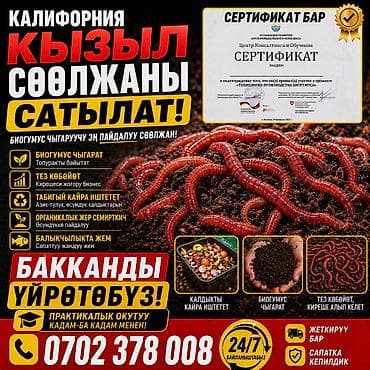 Грибы: Удобрение Гумус, Самовывоз — 2