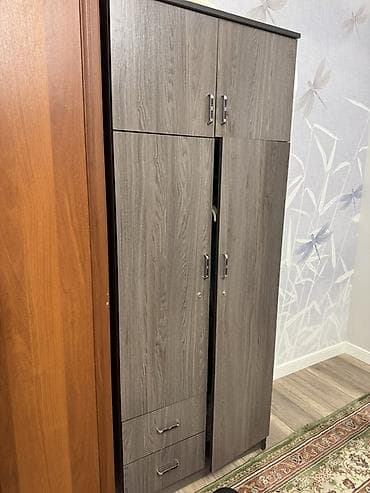 шкафы расцветки: Шифоньер, шкаф для одежды, Прямой, ЛДСП — 2