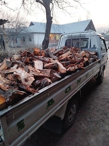 Дрова Бесплатная доставка