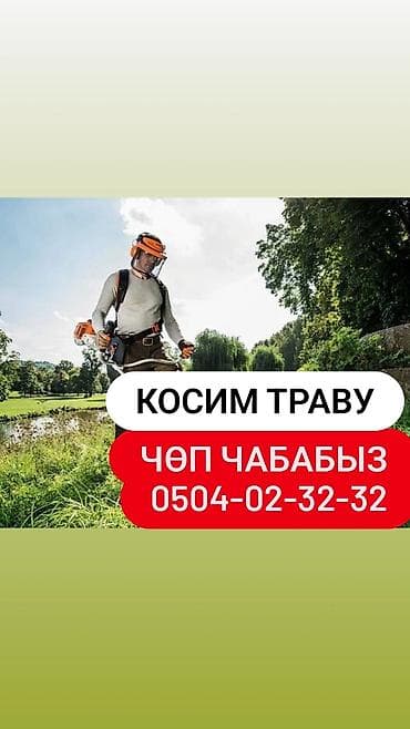 Уборка территории, Стрижка газона