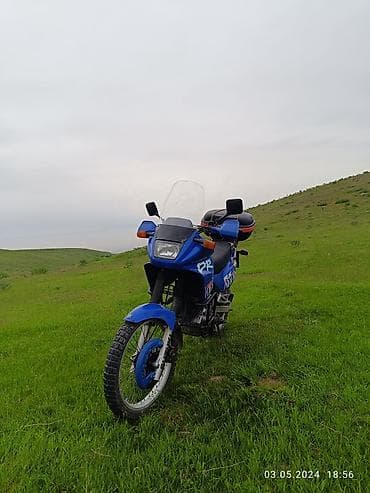 мотоцикл сова: Эндуро Suzuki, 650 куб. см, Бензин, Взрослый, Б/у — 2