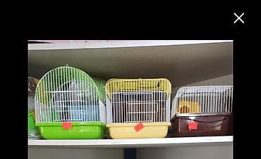 Үй жаныбарлары: Клетки для птиц! — 10