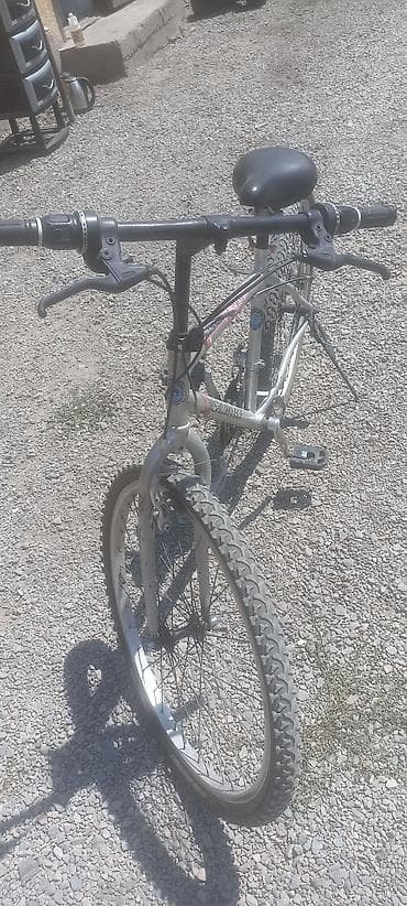 Унаа: Горный велосипед Schwinn (серебристый) - Классическая стальная рама с — 2