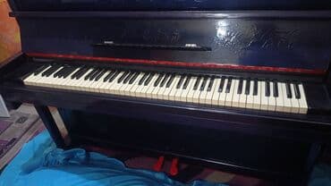 аренда музыкальных инструментов: "Ремонт ф-но Настройка" Anytime!!! W/ap .настройка и ремонт — 9