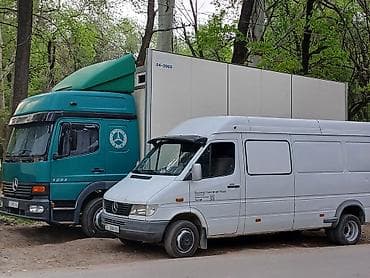 Mercedes-Benz Спринтер: 1996 г., 2.9 л, Дизель