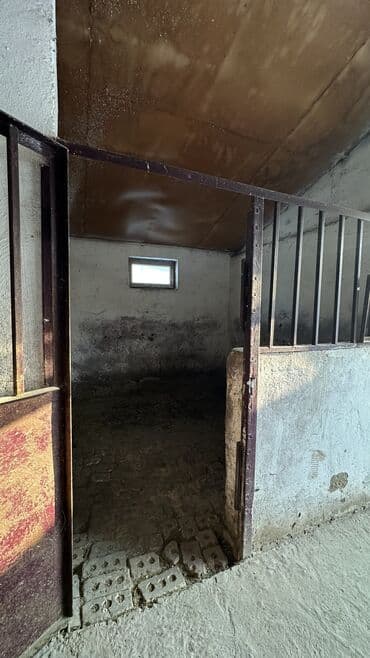 бишкек продаю дом село ак жар 2023: Сдается в аренду конюшня Рассчитано примерно на 10 лошадей Есть — 10