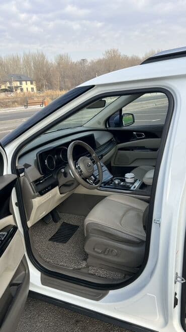 моющий пылесос для химчистки салона автомобиля бу: Kia Carnival: 2020 г., 2.2 л, Автомат, Дизель, Минивэн — 10