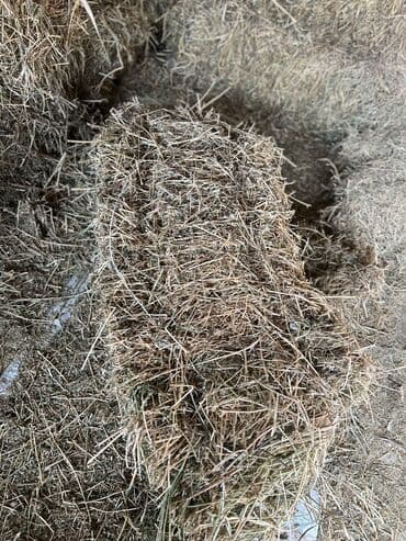 Сатылат 400сом 2кос