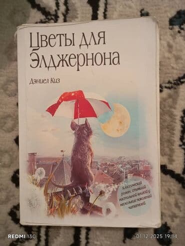 н.с.жусупбекова а.а.оморова г.с.чепекова гдз: Подборка книг на кыргызском и русском языках: 1) «Сатуунун техникасы» — 6