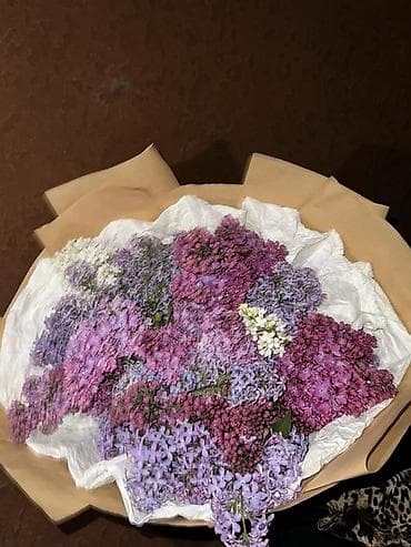 букет сирень: Букет из сирени дешево по 20 800 1000 БЫСТРО И ДЕШЕВО ПИШИТЕ ЗВОНИТЕ — 5