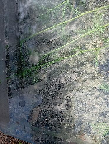 philips xenium w6500: Стекло Переднее левое Hyundai, 2011 г., Б/у, Оригинал — 3