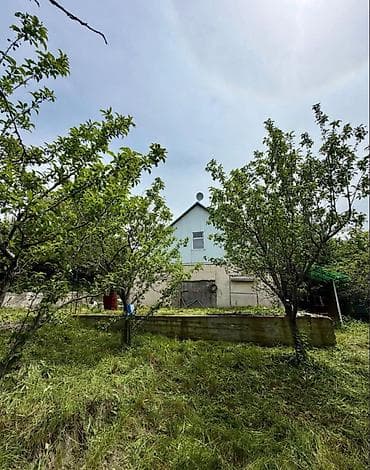 Кыймылсыз мүлк: 🏡🔥 ПРОДАЁТСЯ ДАЧА В ТАШ-МОЙНОКЕ! ДТ: «Мичуринец» 🌿 💥 Участок — 6 — 6
