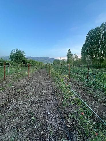 дом арча бешик: 120 соток, Бизнес үчүн, Сатып алуу-сатуу келишими — 2