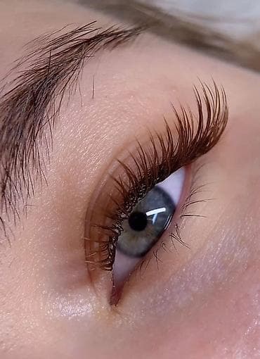 Ресницы, Голливуд, Классика, 2D, С выездом на дом, Консультация, Гипоаллергенные материалы