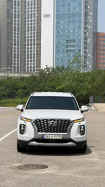 корейский опалобки: Hyundai Palisade: 2020 г., 2.2 л, Автомат, Дизель, Кроссовер — 4