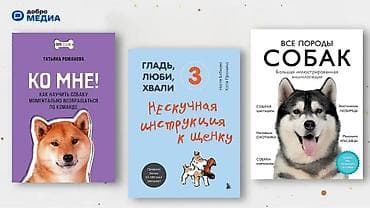 рисую: Подборка книг и журналов о животных и домашних питомцах. В комплекте — 8
