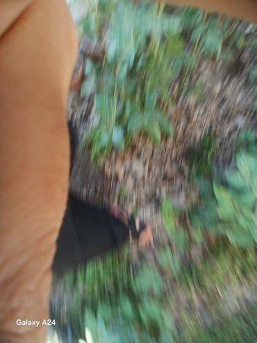 e35: Mercedes-Benz E-Class: 2007 г., 3.5 л, Автомат, Бензин, Седан — 4