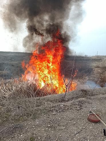 кара шыбак: Аймактарды жыйнап тазалоо, Башка — 1