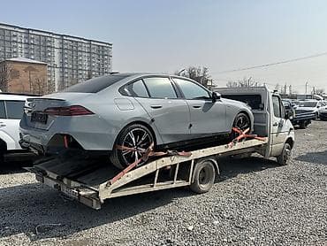 пальто длинное: С лебедкой — 1