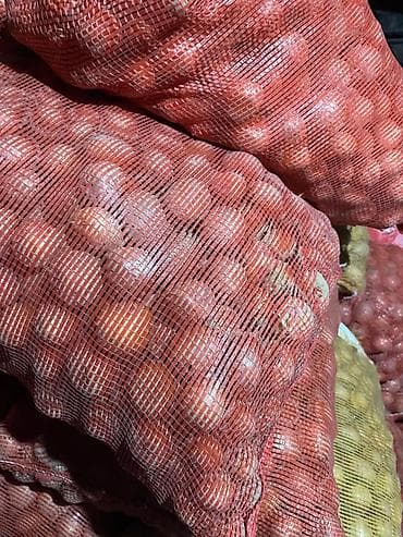 купить мешки для картофеля: Картошка Джелли — 2