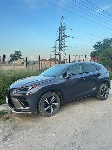 lexus nx продажа: Lexus NX: 2020 г., 2 л, Автомат, Бензин, Кроссовер — 7