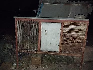 cane corso: Клетка для кроликов/мелких животных + кролик - Просторная — 2