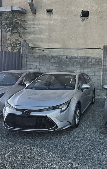 шелкография на футболках от 1 шт: Авто в аренду ТАКСИГЕ БЕРИЛБЕЙТ прокат посуточно Арендага берилет — 1