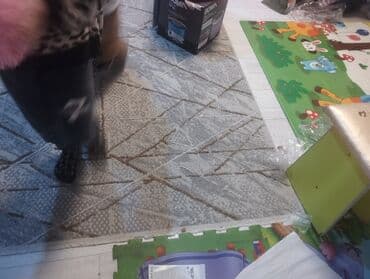 дом в рассрочку кара балта: Барачный, 44 м², 3 комнаты, Собственник — 7