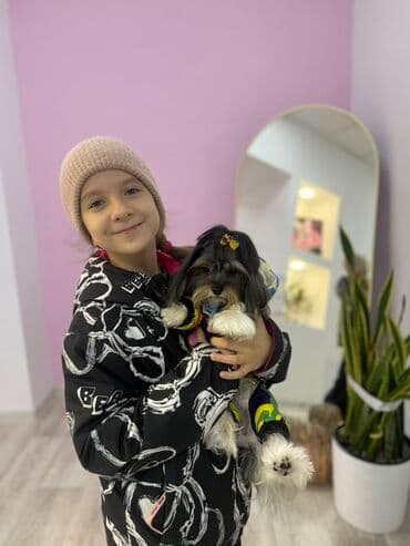 Ит кууту: Щенки метисы, маленькие пушистые комочки с выразительными мордочками и — 1