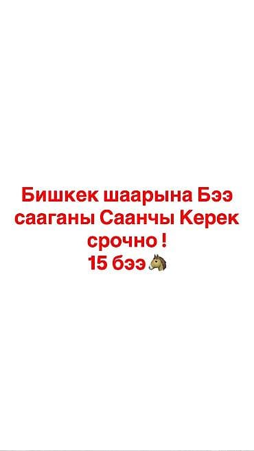 Требуется саанчы (дояр/доярка кобыл ) в Бишкеке. Объём — 15 голов