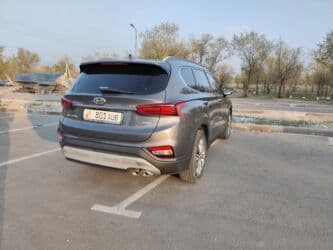 подшибник фит: Hyundai Santa Fe: 2018 г., 2 л, Автомат, Дизель, Кроссовер — 12