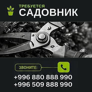 требуца сиделка: ТРЕБУЕТСЯ САДОВНИК Обязанности: •Уход за зелёными насаждениями — 1