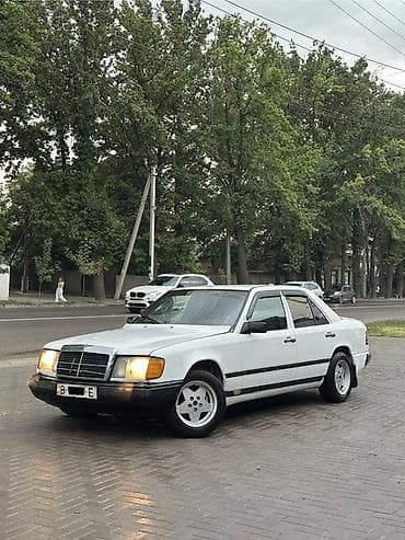 Mercedes-Benz W124: 1993 г., 2.3 л, Кол менен иштөөчү, Бензин, Седан