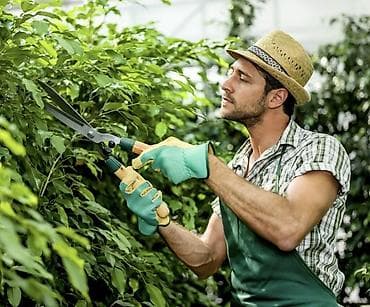 pony: Профессиональный уход за садом и ландшафтные работы Услуги: - — 1