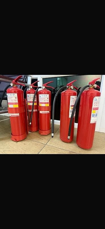 датчик газ: Порошковые огнетушители, Объем: 5 - 10 л л, Для авто — 2