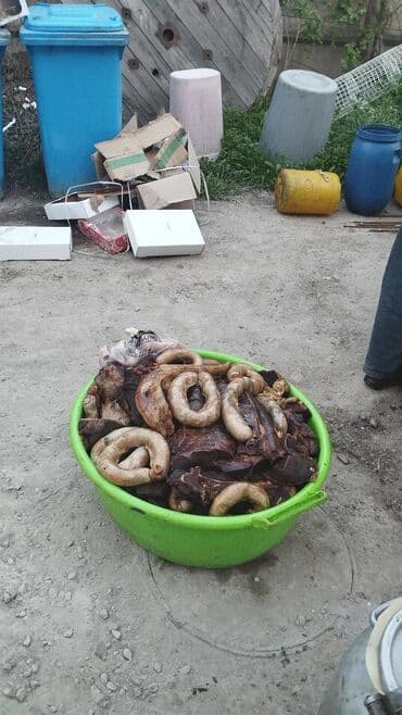 повар на вьезд: Выездные банкеты | Эт башчы, Касапчы — 3