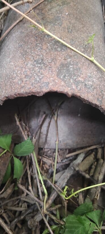 другие товары: Труба СССР — 1