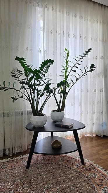 52: 2 комнаты, 53 м², Ак-Кеме (старый аэропорт) Элитка, 5 этаж, Свежий ремонт — 2