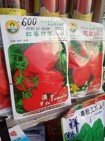 Продается семена Китай новичок помидор — 7