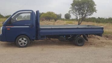 Легкий грузовик, Hyundai, Стандарт