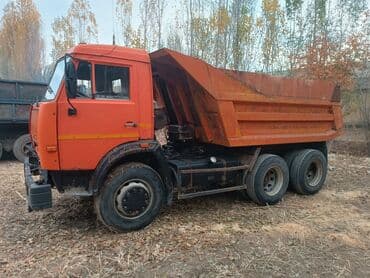 купить авто с кореи бу: Грузовик, Камаз, Стандарт, Б/у — 3
