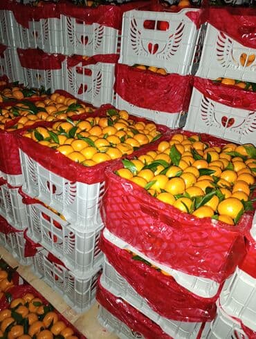 3в1 акция: Мандарины Оптом — 4