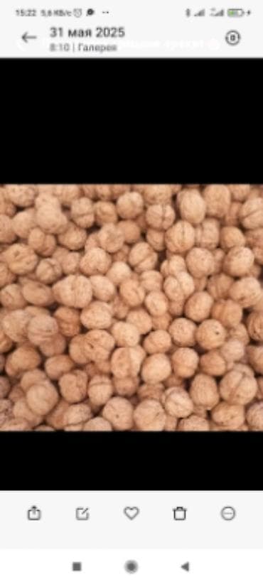 Грецкий орех в скорлупе - Натуральные грецкие орехи, цельные, в