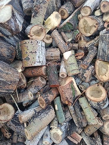 чемеричная вода: Дрова Тополь — 2