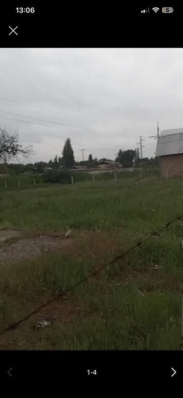 возле дороги: 10 соток, Для сельского хозяйства — 2