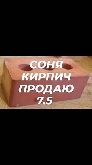 упс 7: Кирпич керамический пустотелый (перфорация сквозными круглыми — 1